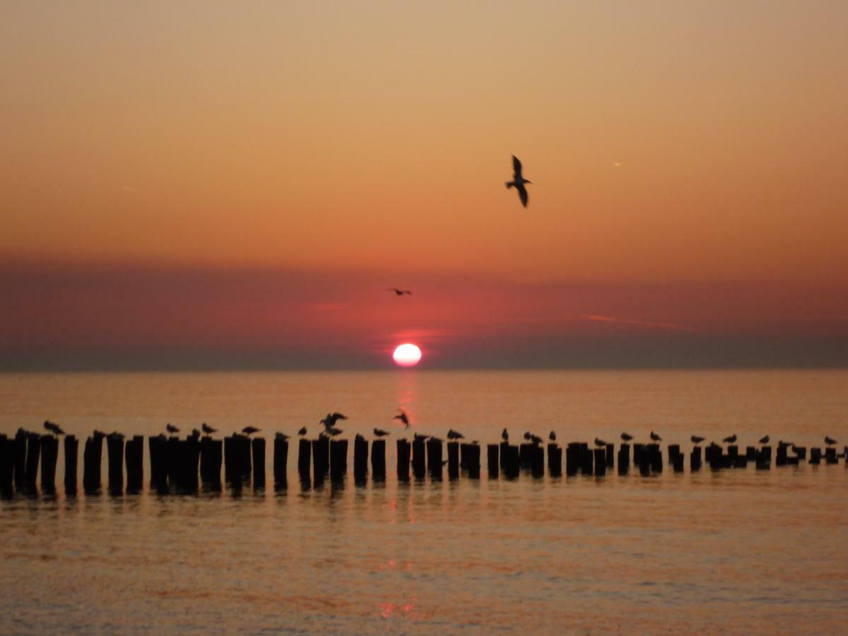 Holiday home Gezellige Vakantiewoning Dichtbij Centrum Do20 *